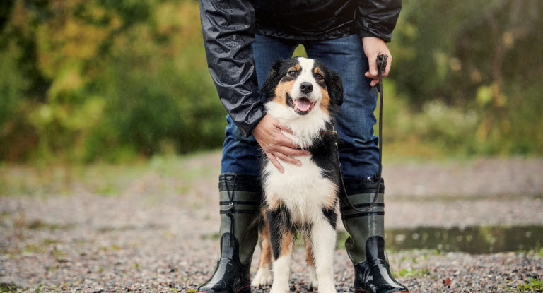 Omistaja kouluttaa koiraansa