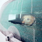 Koira yksin autossa pakkasella