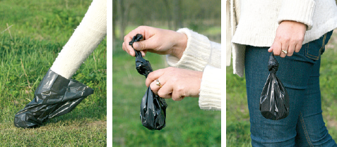 opsamling af hundelort