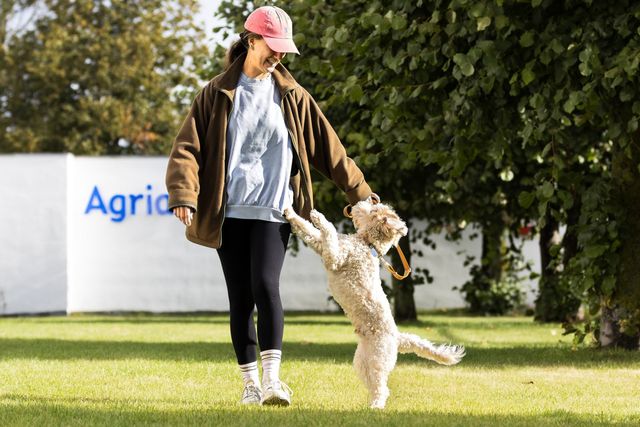 Hund som hoppar mot matte på promenad
