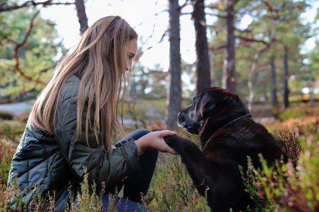 Koira ja omistaja istuvat yhdessä pitäen toisiaan tassusta ja kädestä.