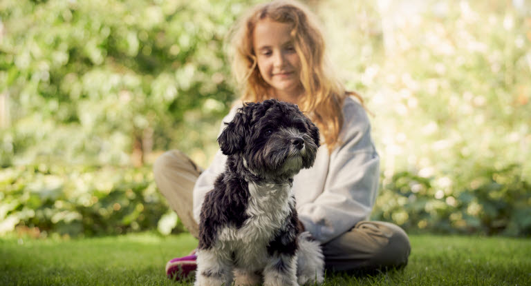 Tyttö istuu koiran kanssa nurmikolla.