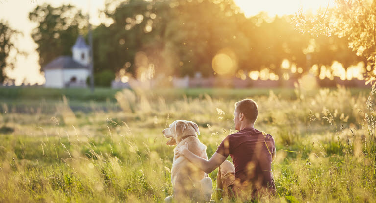 Koira omistajansa kanssa