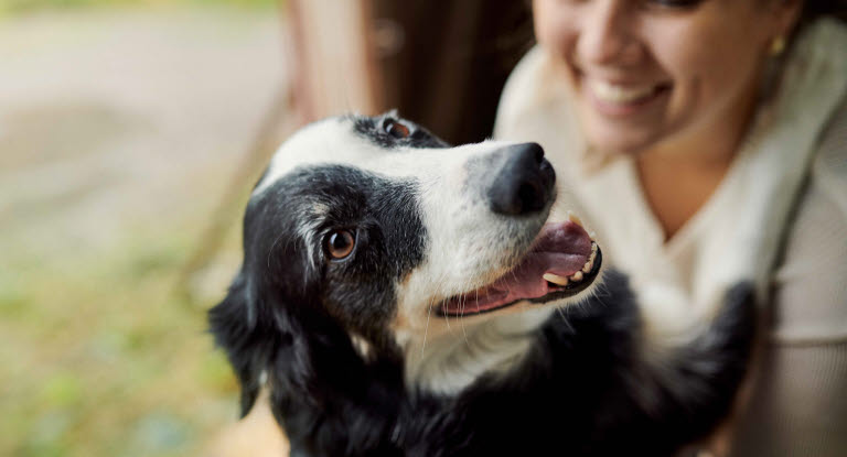 Iloinen koira hymyilevän omistajansa kanssa