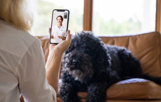 Nainen soittaa digitaaliselle eläinlääkärille saadakseen neuvoja koirastaan.