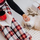 Kissa omistajan ja joululahjan kanssa.