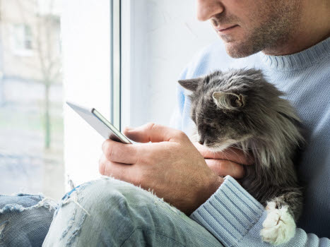 Mies hellii kissaa ja soittaa digitaaliselle eläinlääkärille.